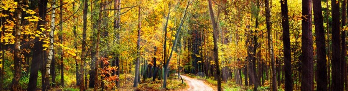 Vastgoedconstructie leidt tot resultaat uit overige werkzaamheden