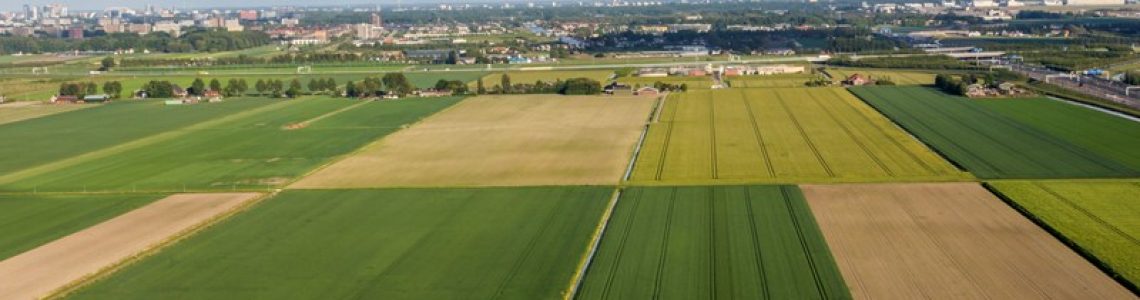 Regelgeving scheuren grasland
