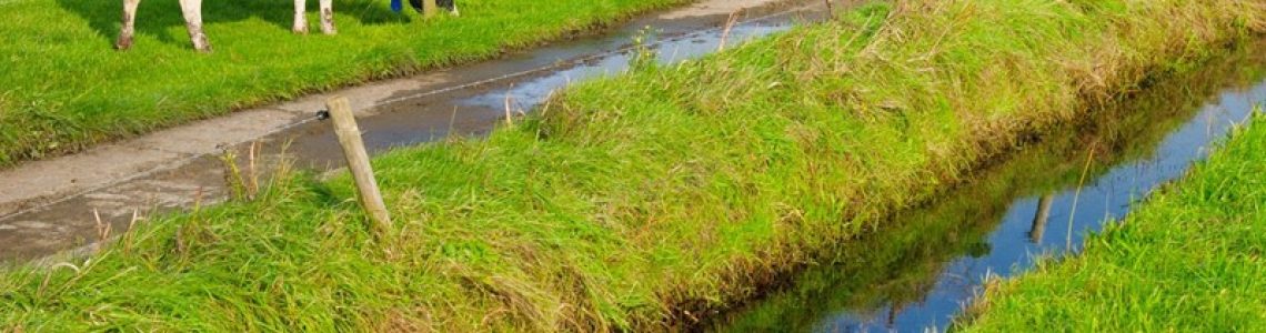 Verbouwing voor rekening bv was uitdeling van winst aan dga