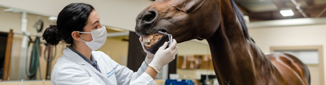 Zonder klanten geen ondernemer