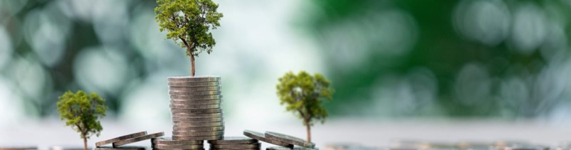 Kabinet dicht belastinglek in box 3 bij obligaties