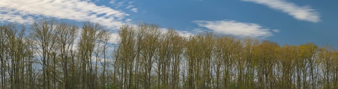 Internetconsultatie aanpassing kavelruilvrijstelling overdrachtsbelasting