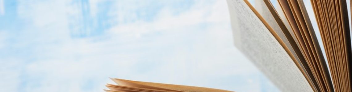 Handboek Dienst Toeslagen nu voor iedereen beschikbaar