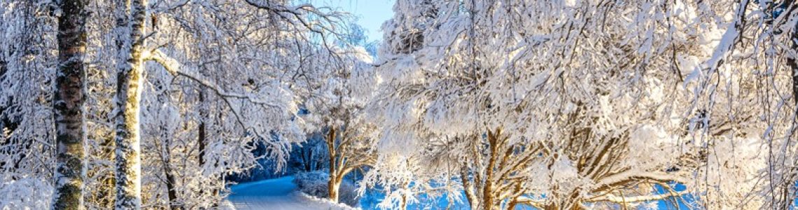 Grond opknippen in postzegelperceeltjes