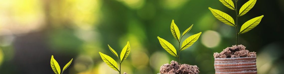 Milieulijst 2025 vastgesteld