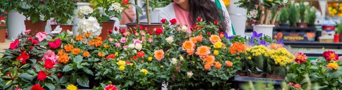 Fictieve vervreemding aanmerkelijk belang bij overlijden
